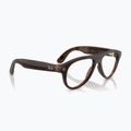 Glasses with a camera Ray-Ban Meta Aviator transp. umber/trs jade 4