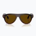 Glasses with a camera Ray-Ban Meta Aviator transp. umber/trs jade 7