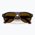 Glasses with a camera Ray-Ban Meta Aviator transp. umber/trs jade 9