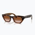Glasses with a camera Ray-Ban Meta Zena havana/gradient brown