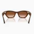 Glasses with a camera Ray-Ban Meta Zena havana/gradient brown 3