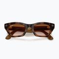 Glasses with a camera Ray-Ban Meta Zena havana/gradient brown 6