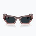 Glasses with a camera Ray-Ban Meta Zena milky pink blush/trs grey 9