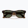 Glasses with a camera Ray-Ban Meta Wayfarer havana/g15 green 6