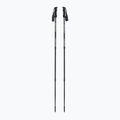 Fizan Prestige trekking poles blue