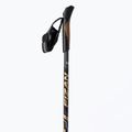 Fizan Runner Gold Nordic walking poles gold S21CA04 2