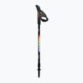 Fizan Speed Junior children's Nordic walking poles black S22 7526 6