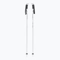 Fizan Action Pro white ski poles