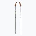 Fizan Walx Velocity Nordic walking poles