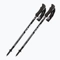 Fizan Compact MS trekking poles black