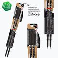 Fizan Compact MS trekking poles black 3