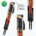 Fizan Compact red trekking poles 3