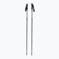 Fizan Compact 4 water green trekking poles