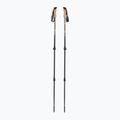 Fizan Adventure desert trekking poles