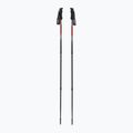 Fizan Prestige A/S trekking poles red