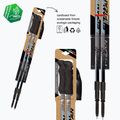Fizan Prestige sugar paper trekking poles 10