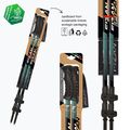 Fizan Voyager petrol trekking poles 3