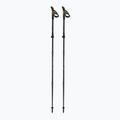 Fizan RFP Trail poles black 10