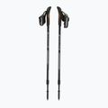 Fizan Speed black Nordic walking poles 5