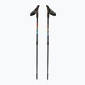 Fizan Speed JR rainbow children's Nordic walking poles