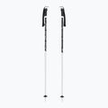 Ski poles Fizan Action MS animal gry