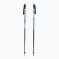 Ski poles Fizan Action Pro blue