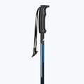 Ski poles Fizan Action blue 2