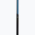 Ski poles Fizan Action blue 4