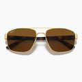 Sunglasses Ray-Ban RB3663 arista gold/brown 3