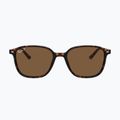 Sunglasses Ray-Ban Leonard tortoise/brown polarized 2