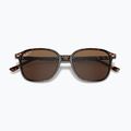 Sunglasses Ray-Ban Leonard tortoise/brown polarized 3