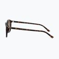 Sunglasses Ray-Ban Leonard tortoise/brown polarized 7