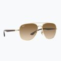 Sunglasses Ray-Ban RB3683 arista gold/brown