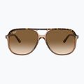 Sunglasses Ray-Ban Bill havana brown/transparent brown 2