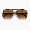 Sunglasses Ray-Ban Bill havana brown/transparent brown 3