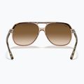 Sunglasses Ray-Ban Bill havana brown/transparent brown 5