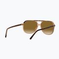 Sunglasses Ray-Ban Bill havana brown/transparent brown 6