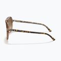 Sunglasses Ray-Ban Bill havana brown/transparent brown 7