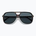 Sunglasses Ray-Ban Bill havana/blue 3