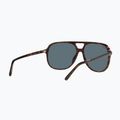 Sunglasses Ray-Ban Bill havana/blue 6