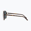 Sunglasses Ray-Ban Bill havana/blue 7