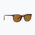 Sunglasses Ray-Ban Elliot havana brown/black polarized