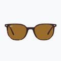 Sunglasses Ray-Ban Elliot havana brown/black polarized 2