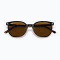 Sunglasses Ray-Ban Elliot havana brown/black polarized 3