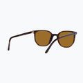 Sunglasses Ray-Ban Elliot havana brown/black polarized 6