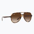 Sunglasses Ray-Ban RB4376 havana/brown gradient