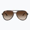 Sunglasses Ray-Ban RB4376 havana/brown gradient 2