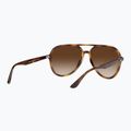 Sunglasses Ray-Ban RB4376 havana/brown gradient 3