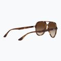 Sunglasses Ray-Ban RB4376 havana/brown gradient 4