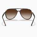 Sunglasses Ray-Ban RB4376 havana/brown gradient 5